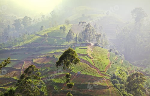 Preview: Sri Lanka landscapes