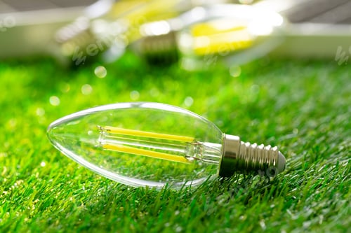 Preview: Energy efficient light bulb lying on grass