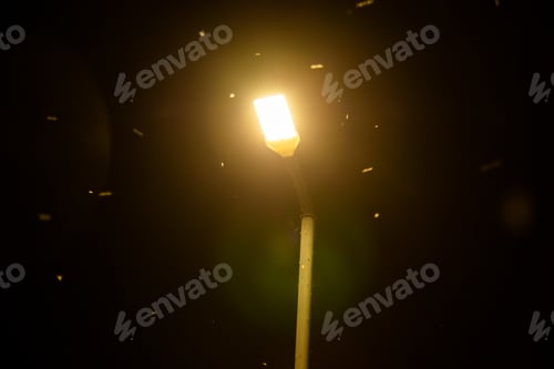 Preview: Mosquito swarm near light lamp at night