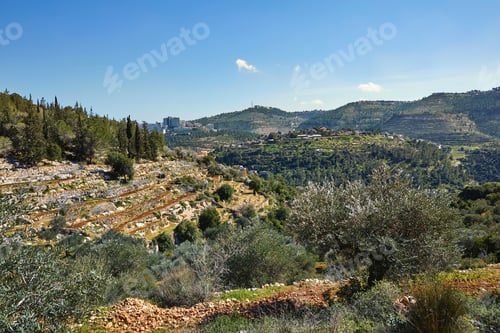 Preview: Forest of Sataf west of Jerusalem Israel. A beautiful area of hiking