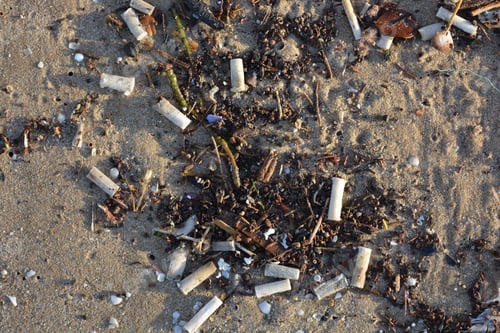 Preview: Non-biodegradable plastic rubbish washed up on a beach