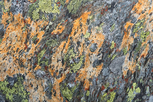 Preview: Texture of lichen on stone