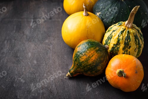 Preview: Assortment of decorative pumpkins. Autumn background