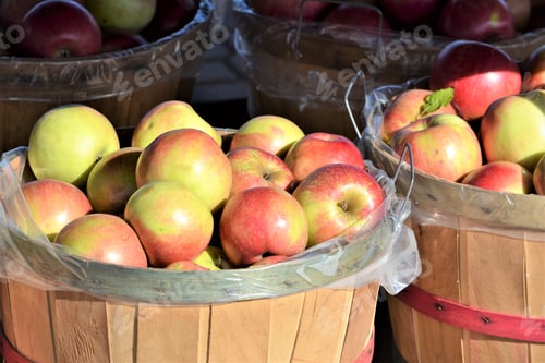 Preview: Freshly picked apples in basket