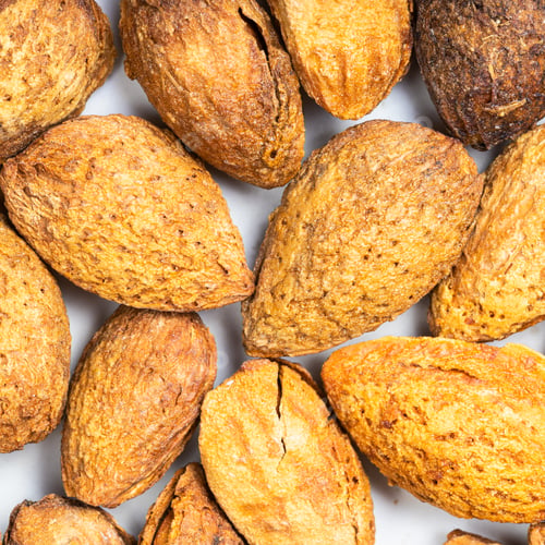 Preview: cracked almond drupes close up