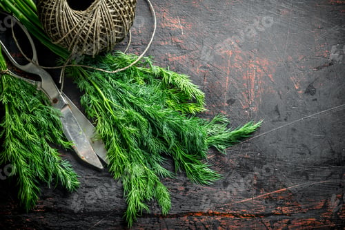 Preview: Fresh dill with old twine.