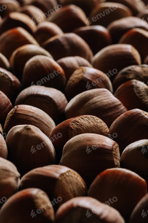 Preview: Closeup of some unopened hazelnuts