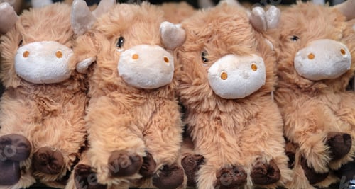 Preview: Scottish Highland Cow Soft Toys