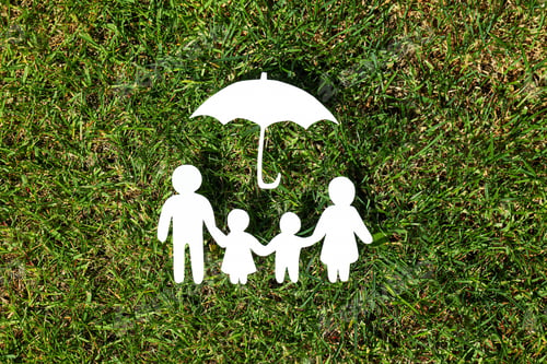 Preview: Concept of family, protection of family, family rights, family health