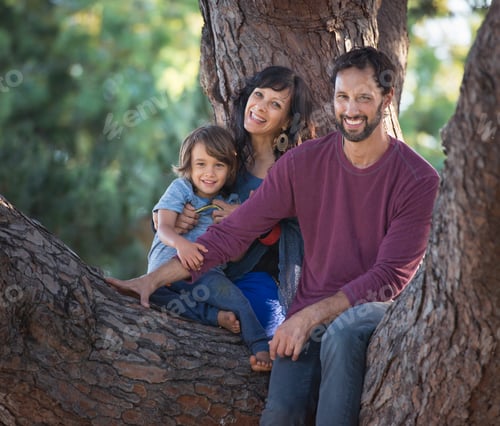 Preview: Portrait of young boy with mother and father, sitting in tree