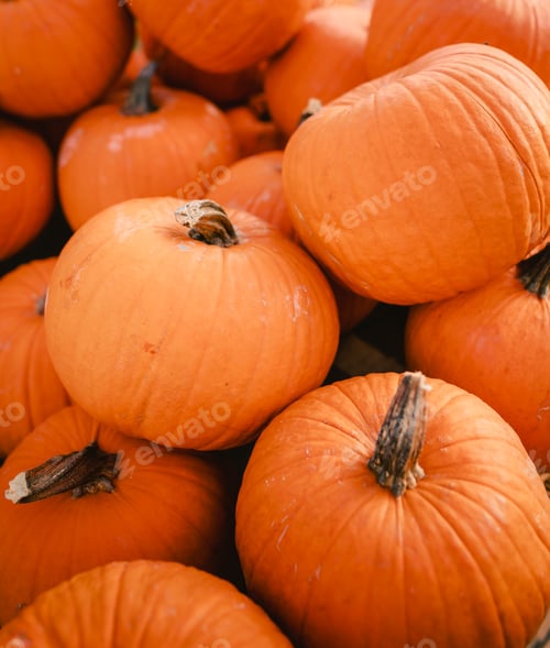 Preview: Detail of pile of pumpkins for Halloween festivities, vertical