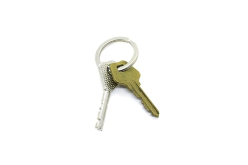 Preview: Keys on the ring isolated on white