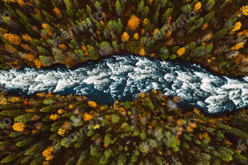 Preview: Aerial view of fast river through fall woods or forest with colorful trees.