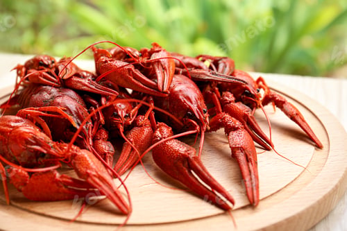 Preview: Delicious red boiled crayfish on wooden board, closeup