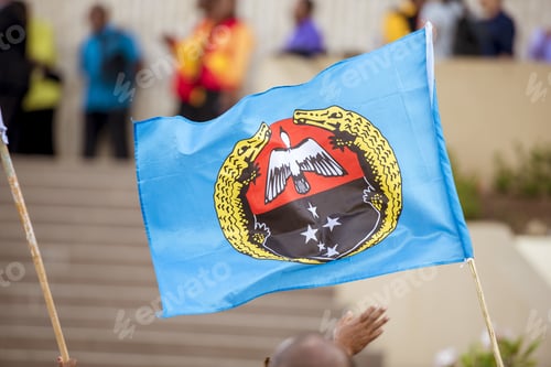 Preview: Closeup shot of a flag held by a person with the two crocodiles and a bird on the flag
