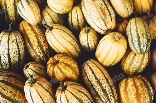 Preview: Colorful pumpkins and squashes in different varieties. Background