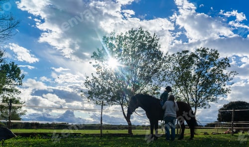 Preview: Child learning to ride a horse with a riding teacher