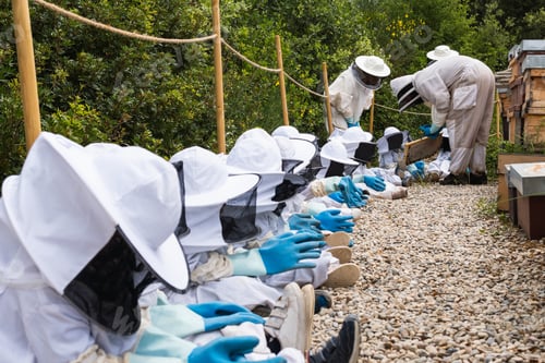 Preview: Beekeeper showing honeycomb to group of kids in apiary