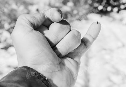 Preview: Grayscale closeup shot of a man's hand with a thorn on his pinky finger