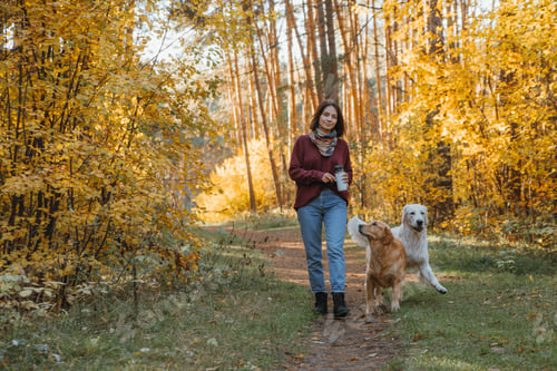 Preview: Beautifully young woman is walking with her dogs in the park