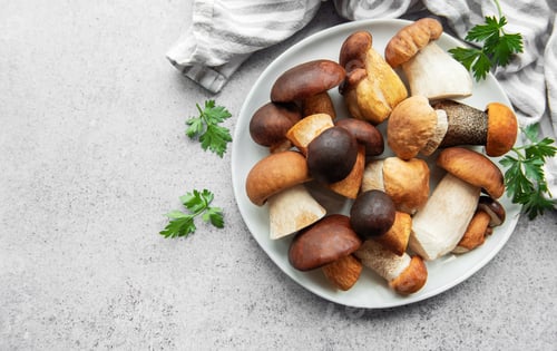 Preview: Fresh assorted mushrooms on a platter with herbs, ready for a delicious meal preparation