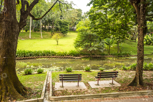 Visualização: Perdana Botanical Garden, Tun Abdul Razak Heritage Park, Kuala Lumpur, Malaysia, Southeast Asia