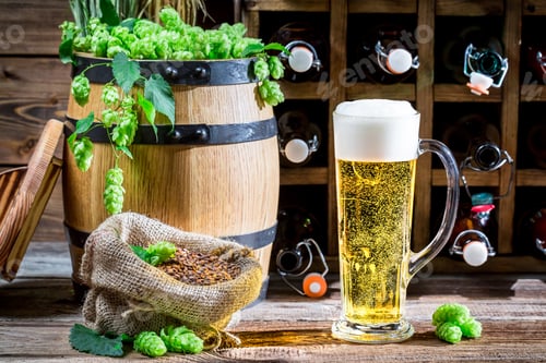 Preview: Light beer made of fresh hops
