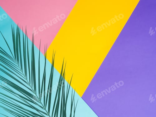 Preview: Colored paper background with tropical leaf