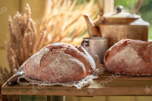 Preview: Fresh loaf of bread with grain and ears in summer