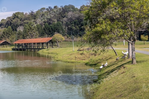 Visualização: Parque Tingui - Curitiba, Paraná, Brasil