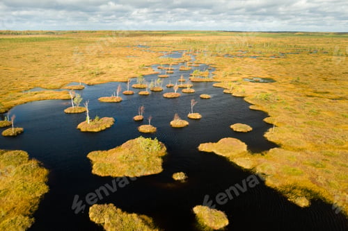 Preview: An aerial view of an autumn bog in Yelnya, Belarus, autumn. Ecosystems ecological problems