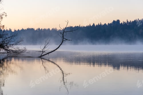 Preview: Serene Sunrise Over Elk Lake on Vancouver Island, British Columbia