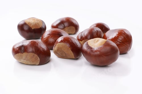 Preview: chestnuts or conkers