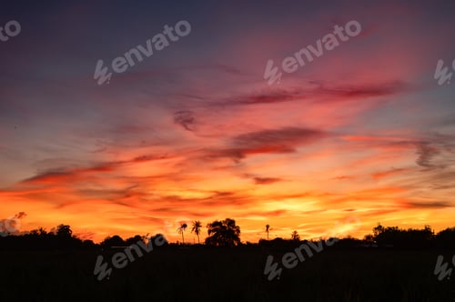 Preview: Colorful dramatic sky with clouds over silhouette plantation