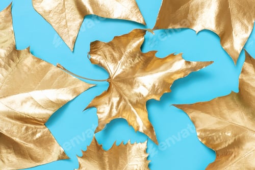 Preview: Pattern of golden maple leaves on a blue background close-up, top view.