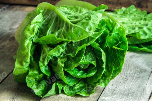 Preview: ripe organic green salad Romano