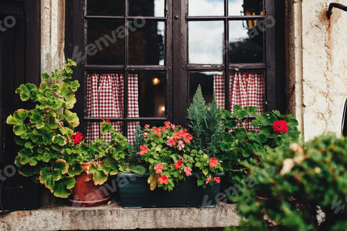 Preview: Vases on a windowsill in Perouges, France