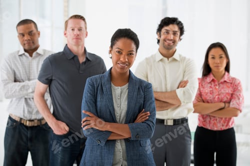 Preview: A team of Business people, a multi ethnic group, men and women standing together.