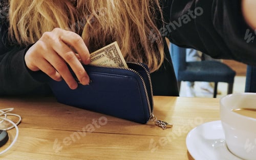 Preview: paying with cash / dollar
