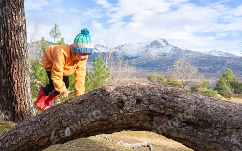 Preview: Child playing and climbing a fallen tree trunk in a mountain forest
