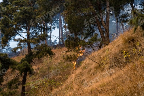 Preview: Drone view of Fires in Hattiban Forest in Kathmandu, Nepal.
