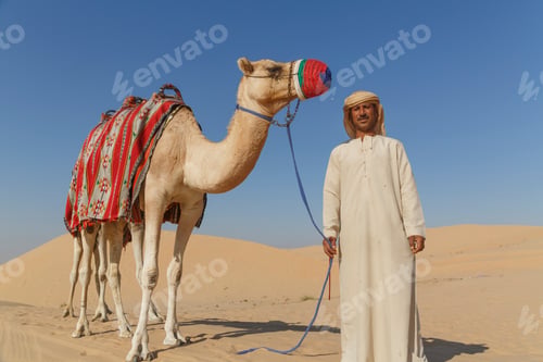 Preview: Portrait of bedouin with camel in desert, Dubai, United Arab Emirates