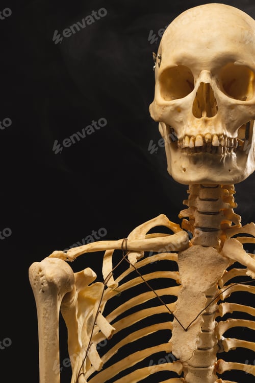 Preview: Vertical image of plastic skeleton and smoke with copy space on black background