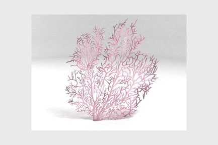 Preview: Symmetrical branching structure