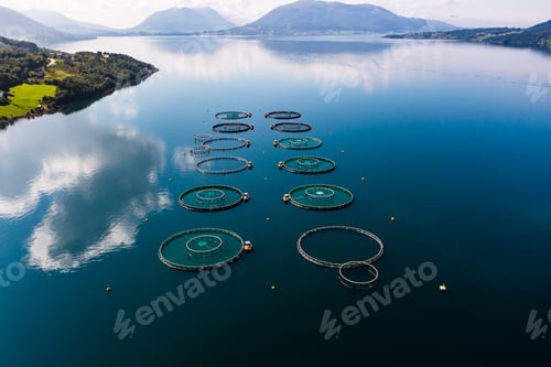 Preview: Fish cages in Central Norway summer day