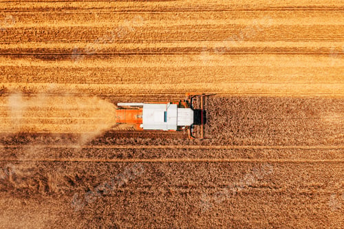 Preview: Aerial shot of combine harvester machine harvesting ripe wheat crop in summer