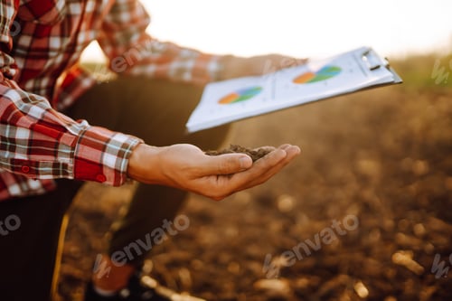 Preview: Hand of expert farmer collect soil and checking soil health before growth a seed of vegetable.