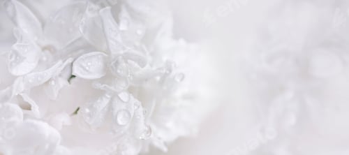 Preview: Delicate Lilac Blossoms for Wedding Use
