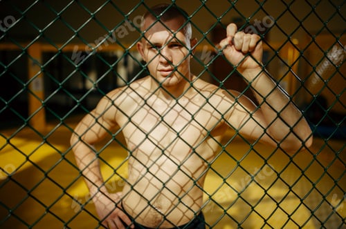 Preview: Male MMA fighter standing at the grid in a cage