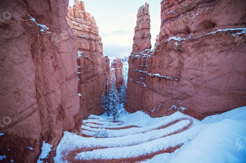 Preview: Winter Bryce